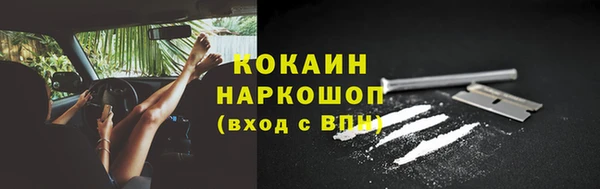 ALPHA PVP Елизово
