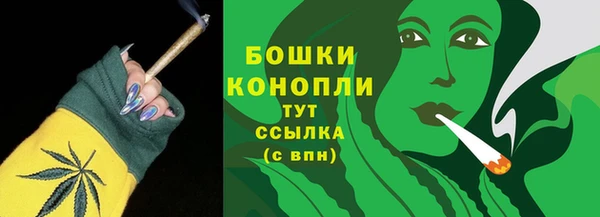 мдма Ельня