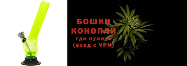 ALPHA PVP Елизово