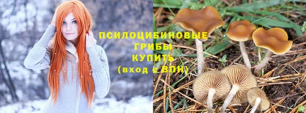 ALPHA PVP Елизово
