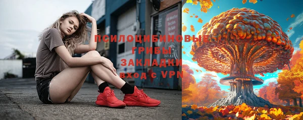 бошки Елабуга