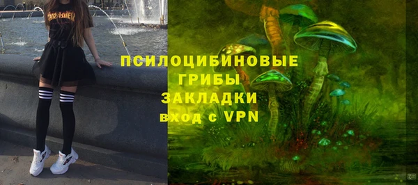 ALPHA PVP Елизово